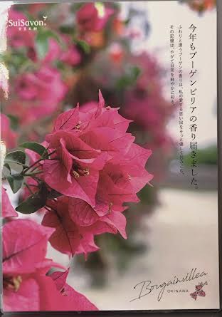 今年もこの香りがやってきました！ブーゲンビリア✿